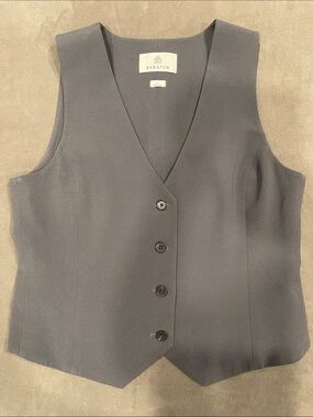 Aritzia Babaton Gray Tailored Vest
